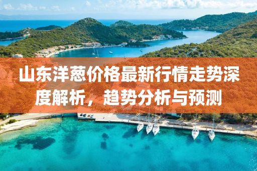 山东洋葱价格最新行情走势深度解析，趋势分析与预测