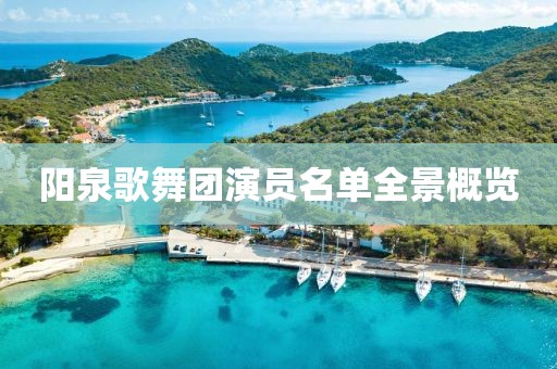 阳泉歌舞团演员名单全景概览