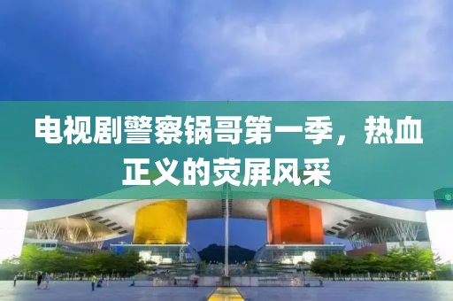 电视剧警察锅哥第一季，热血正义的荧屏风采