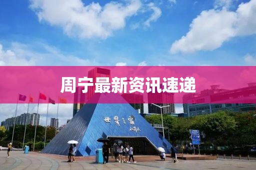 周宁最新资讯速递