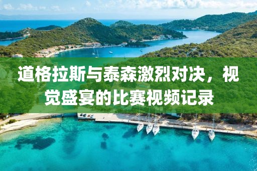 道格拉斯与泰森激烈对决，视觉盛宴的比赛视频记录