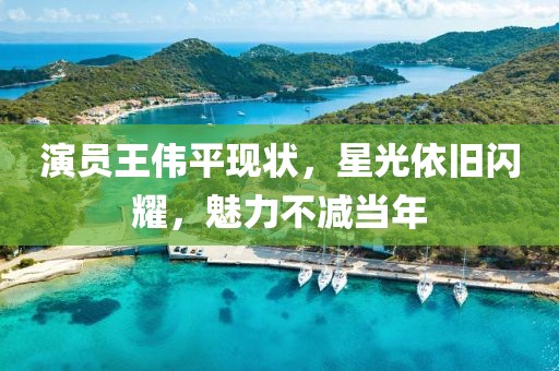 演员王伟平现状，星光依旧闪耀，魅力不减当年