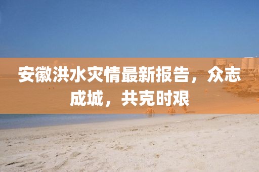 安徽洪水灾情最新报告，众志成城，共克时艰