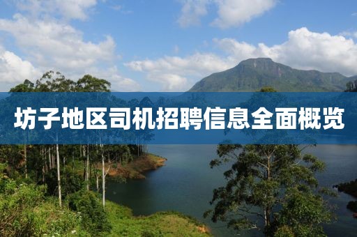 坊子地区司机招聘信息全面概览