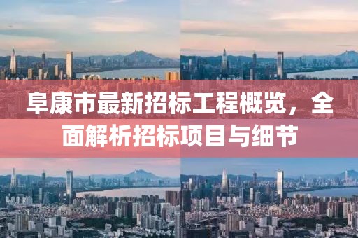 阜康市最新招标工程概览，全面解析招标项目与细节
