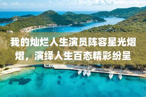 我的灿烂人生演员阵容星光熠熠，演绎人生百态精彩纷呈