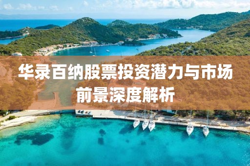 华录百纳股票投资潜力与市场前景深度解析