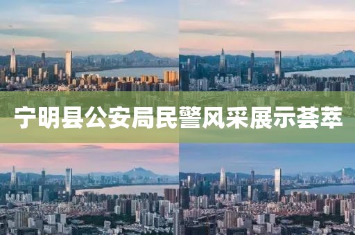 宁明县公安局民警风采展示荟萃