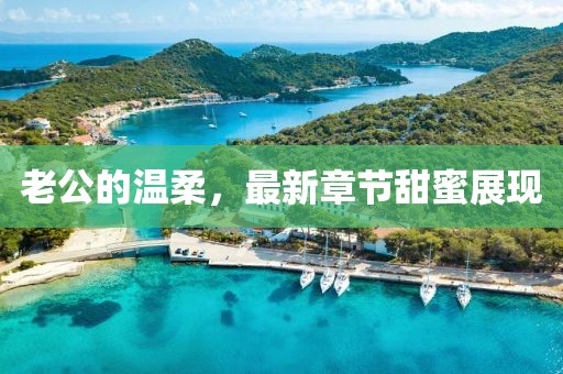 老公的温柔，最新章节甜蜜展现