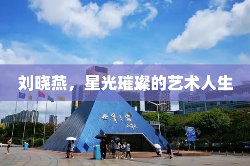 刘晓燕，星光璀璨的艺术人生