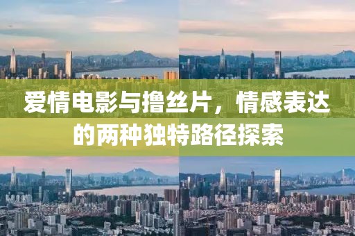 爱情电影与撸丝片，情感表达的两种独特路径探索