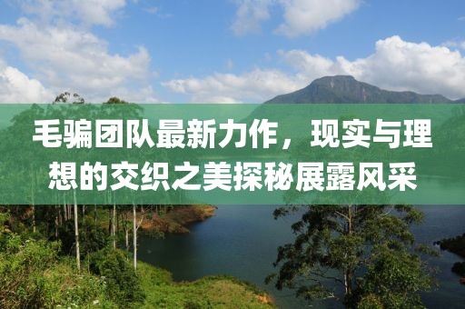 毛骗团队最新力作，现实与理想的交织之美探秘展露风采