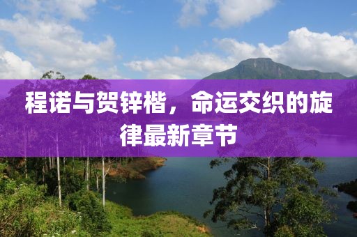 程诺与贺锌楷，命运交织的旋律最新章节