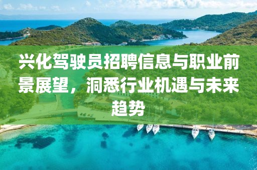 兴化驾驶员招聘信息与职业前景展望，洞悉行业机遇与未来趋势
