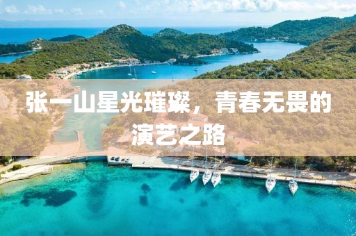 张一山星光璀璨，青春无畏的演艺之路