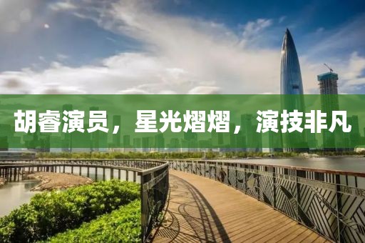 胡睿演员，星光熠熠，演技非凡