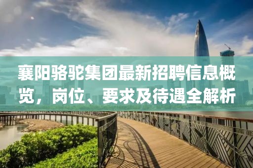 襄阳骆驼集团最新招聘信息概览，岗位、要求及待遇全解析