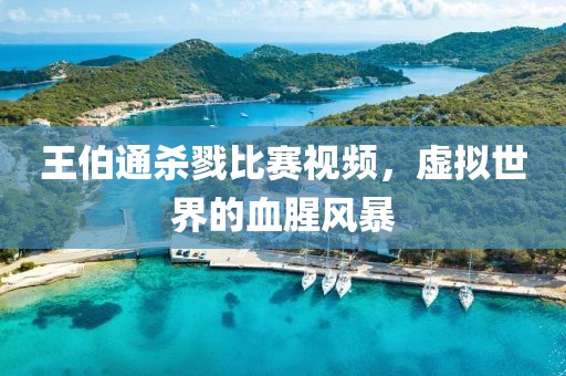 王伯通杀戮比赛视频，虚拟世界的血腥风暴
