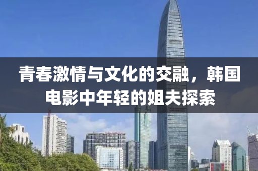 青春激情与文化的交融，韩国电影中年轻的姐夫探索