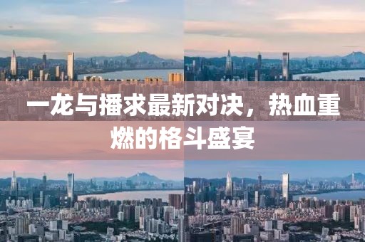 一龙与播求最新对决，热血重燃的格斗盛宴