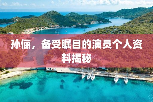 孙俪，备受瞩目的演员个人资料揭秘