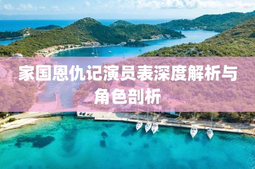 家国恩仇记演员表深度解析与角色剖析