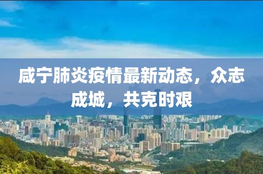 咸宁肺炎疫情最新动态，众志成城，共克时艰