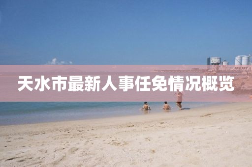 天水市最新人事任免情况概览