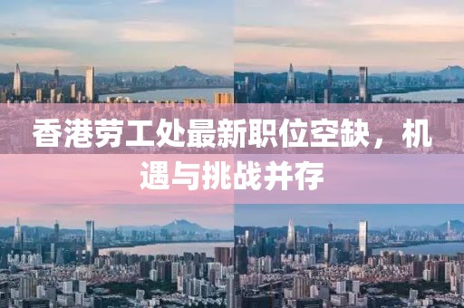 香港劳工处最新职位空缺，机遇与挑战并存