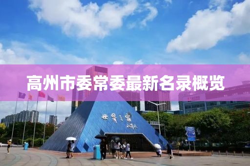 高州市委常委最新名录概览