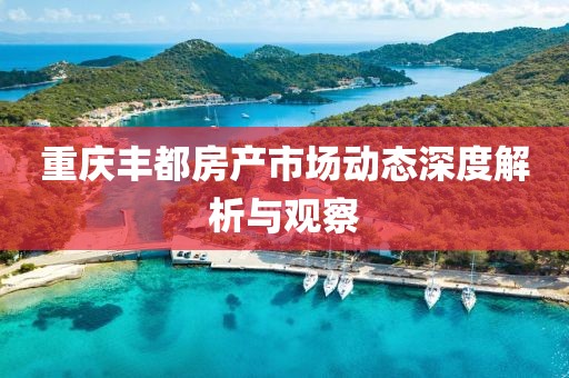 重庆丰都房产市场动态深度解析与观察