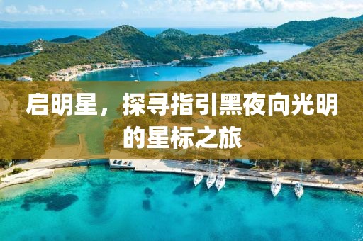 启明星，探寻指引黑夜向光明的星标之旅