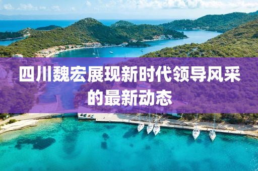 四川魏宏展现新时代领导风采的最新动态