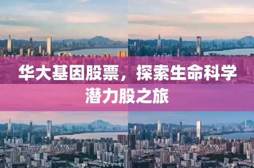 华大基因股票，探索生命科学潜力股之旅