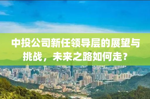 中投公司新任领导层的展望与挑战，未来之路如何走？