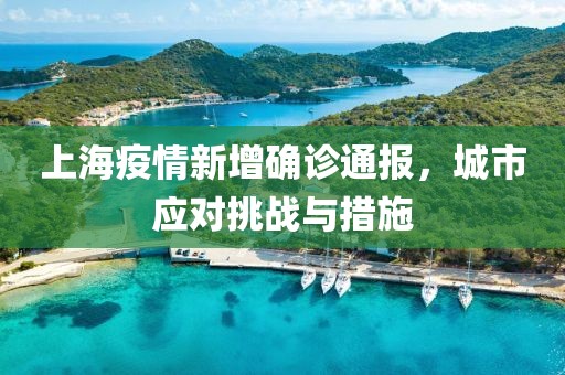 上海疫情新增确诊通报，城市应对挑战与措施