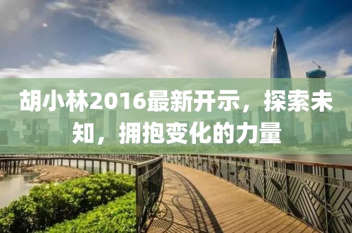 胡小林2016最新开示，探索未知，拥抱变化的力量