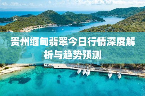 贵州缅甸翡翠今日行情深度解析与趋势预测