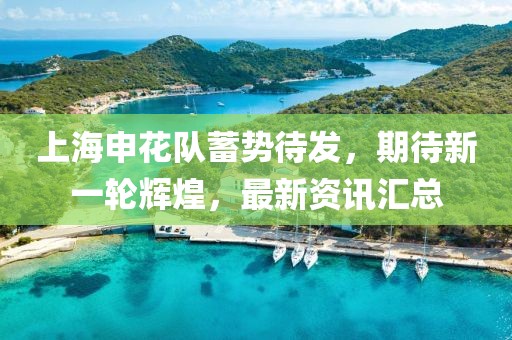 上海申花队蓄势待发，期待新一轮辉煌，最新资讯汇总
