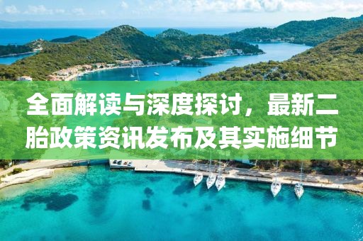 全面解读与深度探讨，最新二胎政策资讯发布及其实施细节