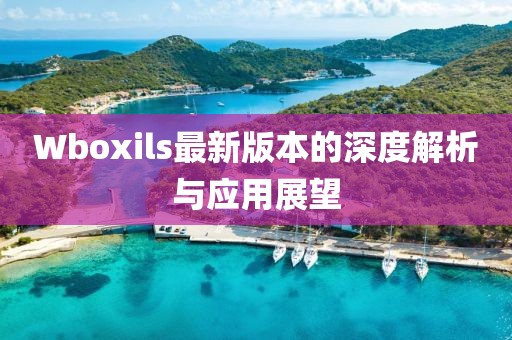 Wboxils最新版本的深度解析与应用展望