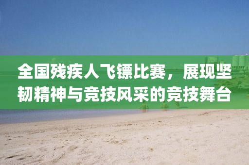 全国残疾人飞镖比赛，展现坚韧精神与竞技风采的竞技舞台