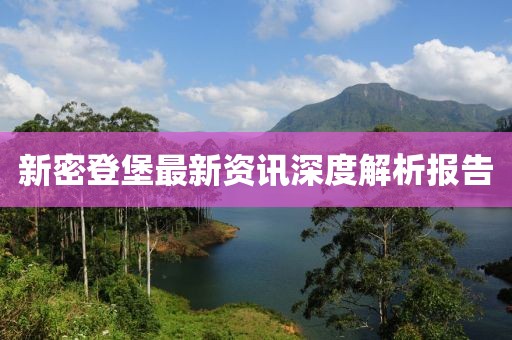 新密登堡最新资讯深度解析报告