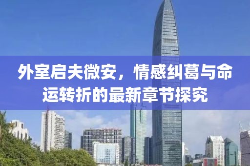 外室启夫微安，情感纠葛与命运转折的最新章节探究