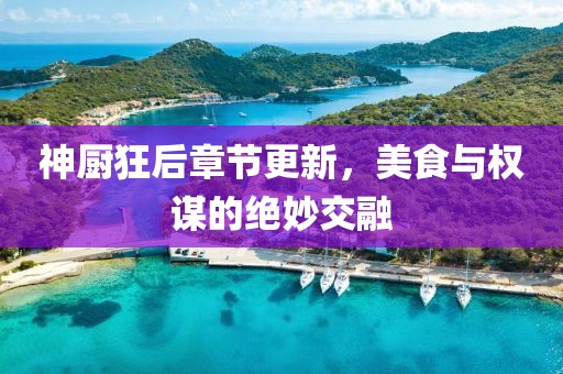 神厨狂后章节更新，美食与权谋的绝妙交融