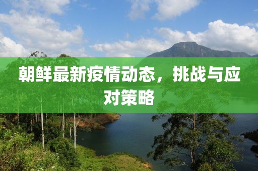 朝鲜最新疫情动态，挑战与应对策略