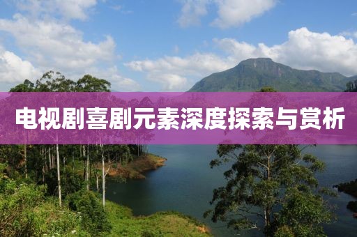 电视剧喜剧元素深度探索与赏析