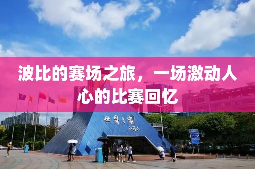 波比的赛场之旅，一场激动人心的比赛回忆