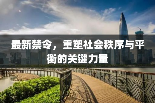最新禁令，重塑社会秩序与平衡的关键力量