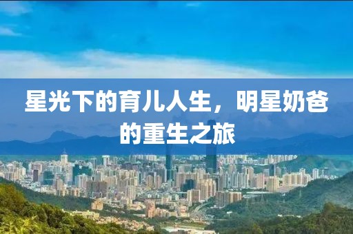 星光下的育儿人生，明星奶爸的重生之旅